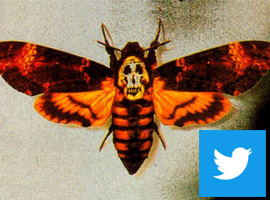 La Crisalide Piercing Torino su Twitter