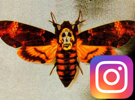La Crisalide Piercing Torino su Instagram